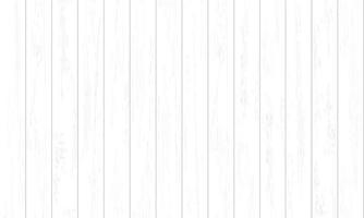 White wood pattern and texture for background. Vector. vector