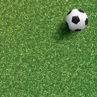 Soccer football ball on green grass of soccer field background. Illustration graphic. photo
