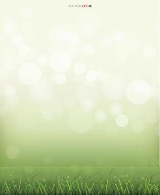 Green grass field with light blurred bokeh background. Vector.