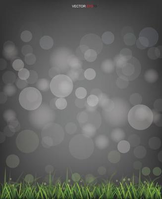 Green grass field with light blurred bokeh background. Vector.