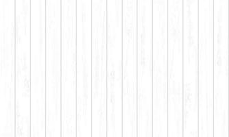 White wood pattern and texture for background. Vector. vector