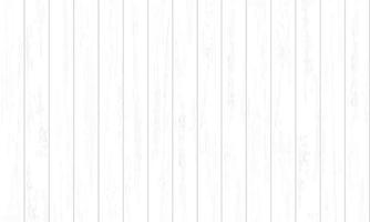 White wood pattern and texture for background. Vector. vector