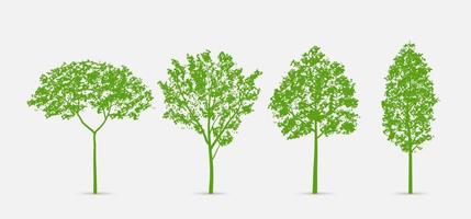 Set of green tree isolated on white background for landscape design and architectural compositions with backgrounds. Vector. vector