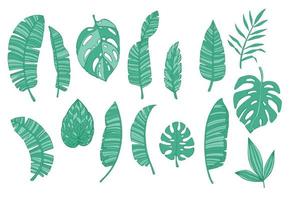 set of tropical green leaves on white background vector