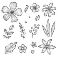 Garden botanical flower icons set, hand drawn style vector