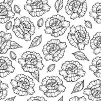 Garden peony flower pattern, outline style vector