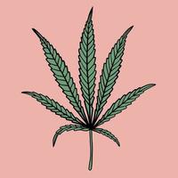 simplicity cannabis leaf freehand drawing flat design. vector