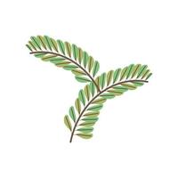 branches leaves nature vector
