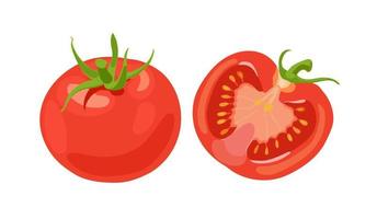 Fresh red tomatoes. Vegetables. Half a tomato, a whole tomato. Vector illustration