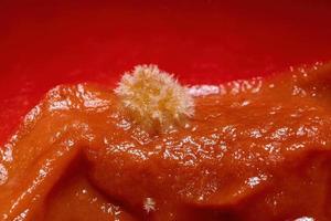 Moldy tomato sauce photo