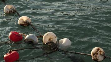 filets de pêche dans l'eau de mer video