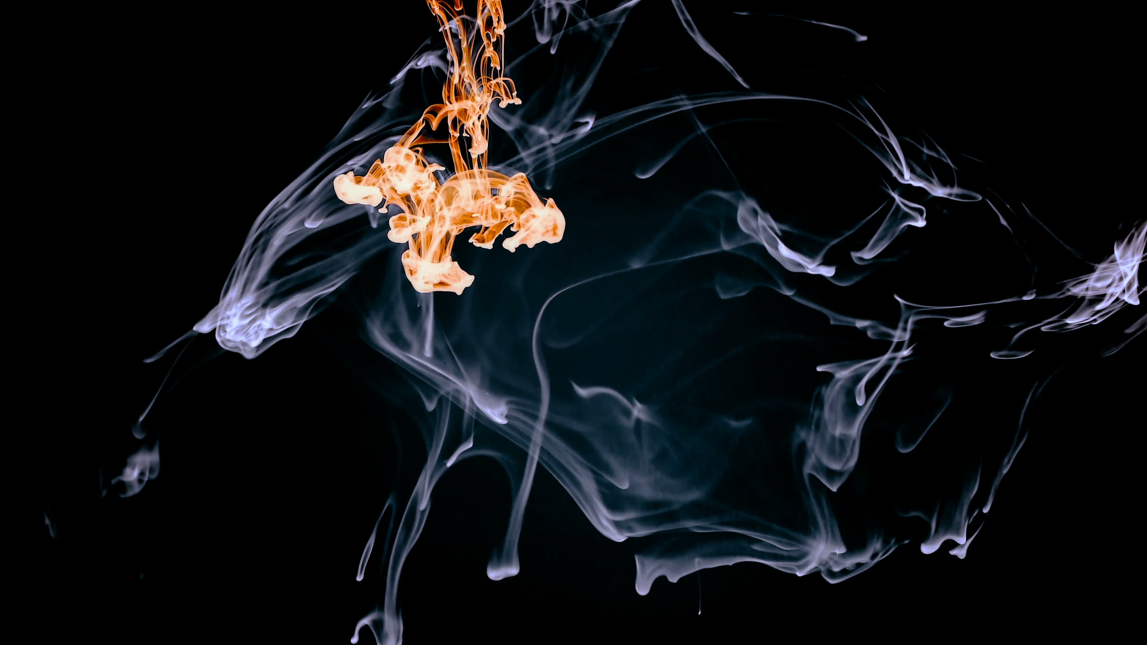 Ink Spread Flows Down in Aquarium Underwater 3798398 Stock Video at