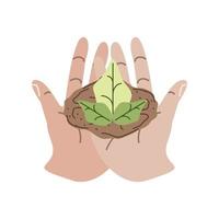 hands with plant and soil vector