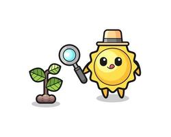 cute sun herbalist researching a plants vector