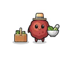meatball herbalist cute cartoon vector