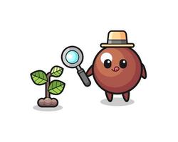 cute chocolate ball herbalist researching a plants vector