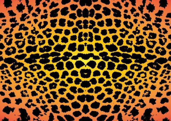 vector animal skin pattern like leopard