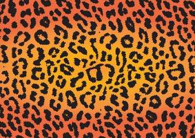 vector patrón de piel de animal como guepardo