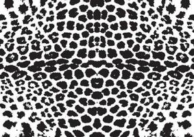 patrón blanco y negro como piel de leopardo blanco. vector