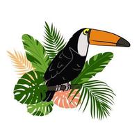 A toucan on a tree branch with leaves. A tropical bird vector