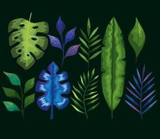 leaves icon collection vector