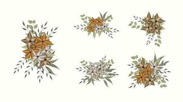 Botanical collection of wild floral arrangements sets garden flowers vector