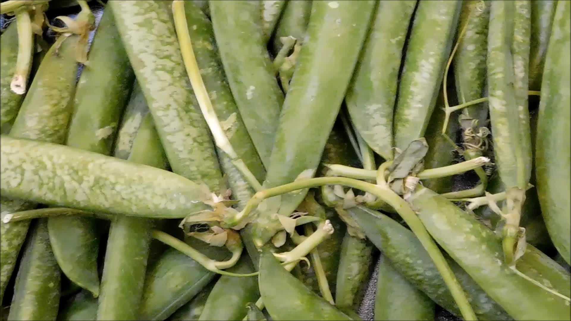 Green Peas Stock Video Footage for Free Download