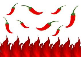 illustration with a spicy theme vector