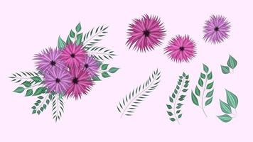 Botanical collection of wild floral elements with garden flowers bunch vector