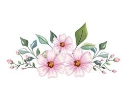 light pink flowers with leaves crown vector