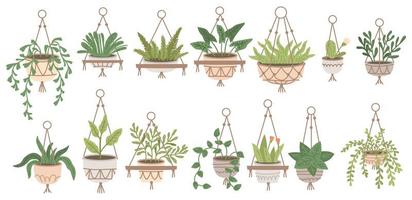 conjunto de plantas en macetas colgantes y macetas sobre soportes. jungla casera vector