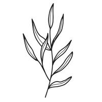 Outlined Foliage Plant vector