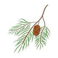 Fir branch with cone vector