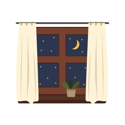 Window at night, with a houseplant on the windowsill. View from the window to the starry sky