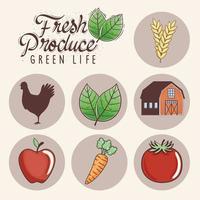 Fresh produce icons vector