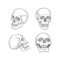 Human skull anatomy pictures head bones with eyes mouth vector illustrations skull different viewpoints skull human head sketch evil skeleton