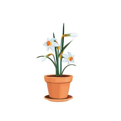 Spring flowers floral decorative interior elements isolated tulips pot houseplant shelf illustration