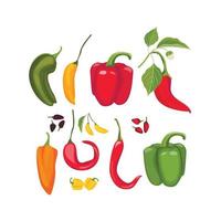 Peppers hot spices fresh jalapeno paprika cayenne vector cartoon red peppers collection illustration chili spice red cayenne spicy