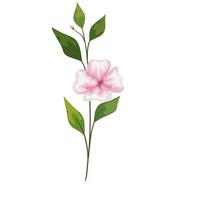 pink flower with leaves vector