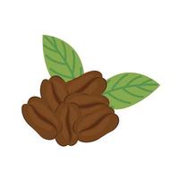 coffee beans icon vector