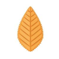 autumn leaf icon vector