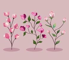 flowers branch with leaves set vector