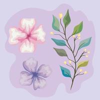 flowers with leaves icon collection vector