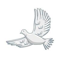 dove animal flying vector