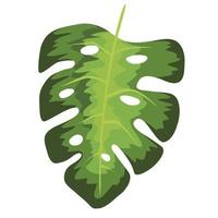 hoja de la planta con agujeros vector