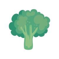 icono de vegetales de brócoli vector