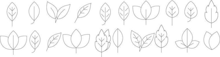 Leaf simple line icons set. Leaf icon vector