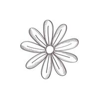 flower sketch icon
