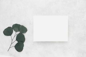 maqueta de tarjeta de invitación con rama de eucalipto sobre fondo beige