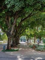 Goiania, Goias, Brazil, 2019 - Plaza Dr. Pedro Ludovico Teixeira photo